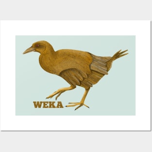 Weka New Zealand Bird Posters and Art